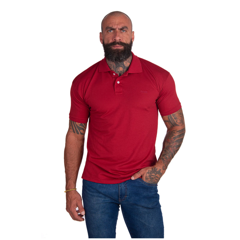 Kit com 5 Camisas Polo Masculinas