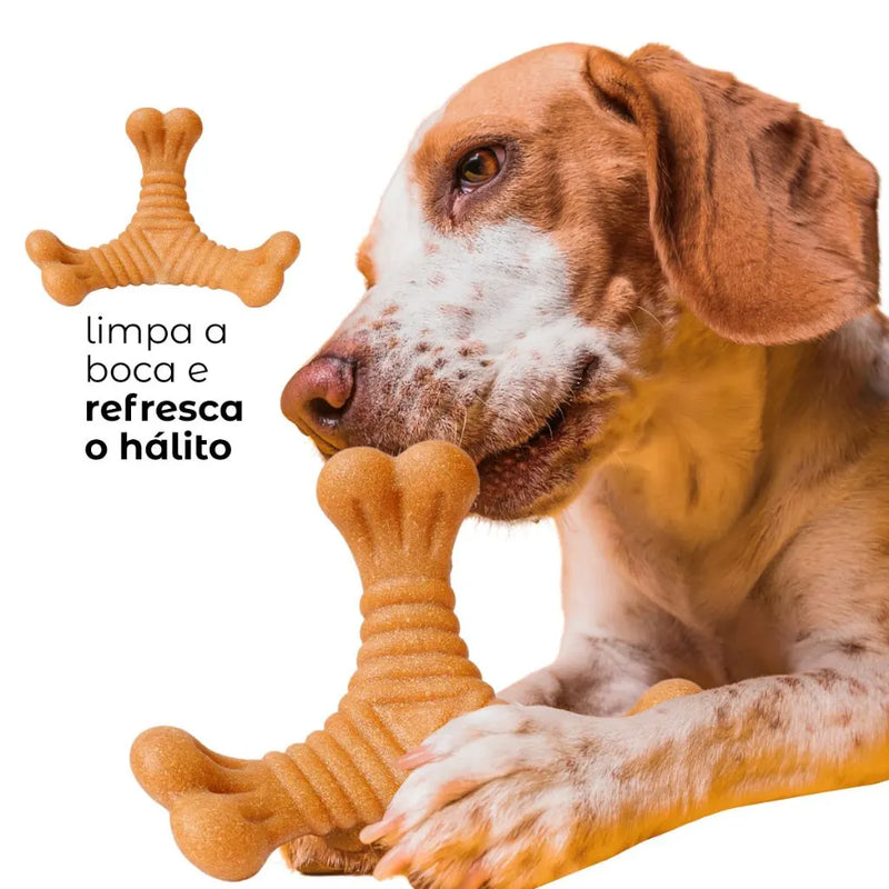 Osso Mordedor e Massageador Anti-Stress para Cães